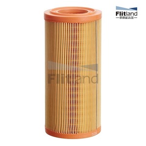 Filtro de ar F002H60012 para FORCE BAJAJ TEMPO MAHINDRA fornece proteção de filtro de até 12 meses